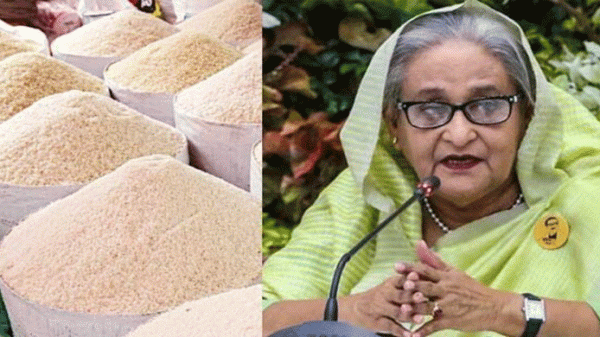 মৌসুমেও চালের দাম বৃদ্ধি : অ্যাকশনে যাওয়ার নির্দেশ প্রধানমন্ত্রীর - Natun Sylhet