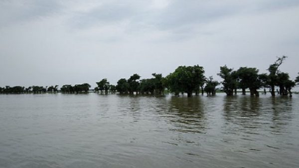 বিপৎসীমার উপরে সুরমা-কুশিয়ারা পানি, দুর্ভোগে নিম্নাঞ্চলের মানুষ - Natun Sylhet