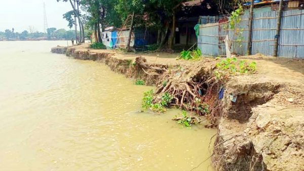 বন্যার পানি নামতেই শুরু নদী ভাঙন, বিলীন হচ্ছে বাড়িঘর - Natun Sylhet