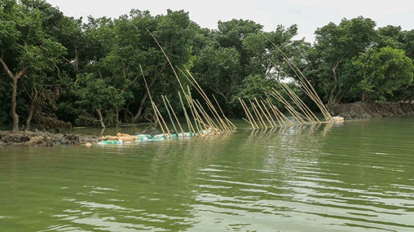 প্রায় দুই দশকের ভয়াবহতম বন্যা: সিলেটে ক্ষতিগ্রস্ত হয়েছে ২ হাজার ৮৬০ মিটার বাঁধ - Natun Sylhet