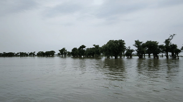 সুনামগঞ্জে পাহাড়ি ঢলে বাড়ছে নদীর পানি - Natun Sylhet
