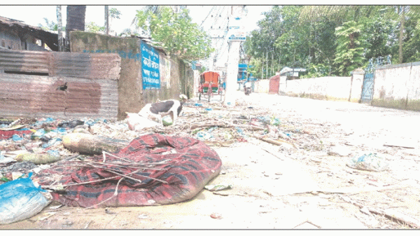 নগরীতে পচা ময়লা-আবর্জনা পানিবাহিত রোগ বাড়ার আশঙ্কা - Natun Sylhet