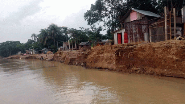কুশিয়ারা নদীতে ব্যাপক ভাঙন - Natun Sylhet