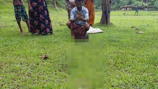 কমলগঞ্জে ছাগল খেতে লোকালয়ে অজগর, কুকুরের কামড়ে গেল প্রাণ - Natun Sylhet