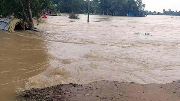 হবিগঞ্জে ২৫০ গ্রাম প্লাবিত - Natun Sylhet