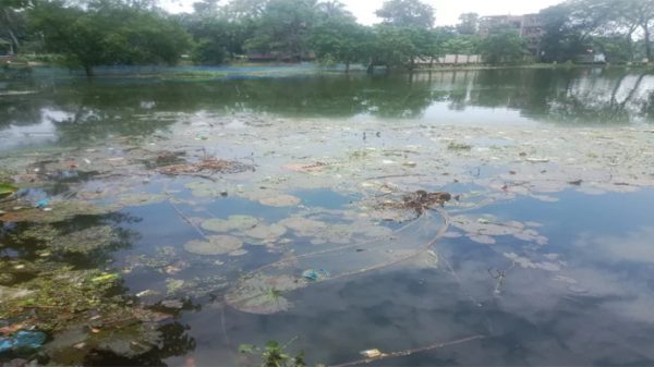 শাল্লায় বন্যার পানিতে ভেসে গেছে ৬০০ পুকুর - Natun Sylhet