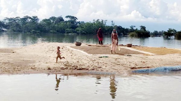 সিলেটে বন্যায় কৃষিতে ৫০০ কোটি টাকার ক্ষয়ক্ষতি - Natun Sylhet