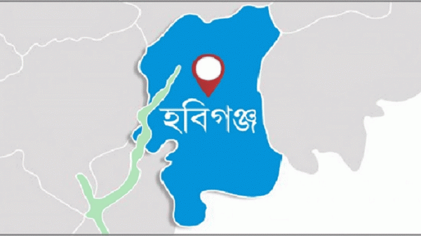 হবিগঞ্জে যুবকের প্রাণ কাড়লো সুন্দরবন কুরিয়ারের ভ্যান - Natun Sylhet