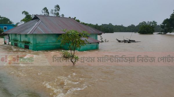 সিলেটে এক মাসের ব্যবধানে ফের বন্যা, প্লাবিত নিম্নাঞ্চল - Natun Sylhet