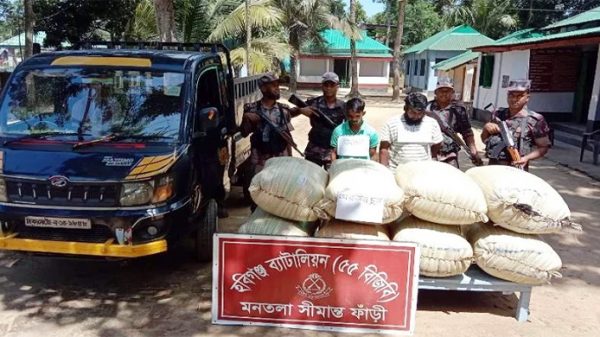 মাধবপুরে ভারতীয় চুলসহ গ্রেপ্তার ২ - Natun Sylhet