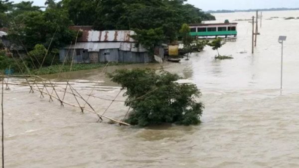ছাতক-দোয়ারাবাজারে বন্যায় ২২ জনের প্রাণহানি - Natun Sylhet