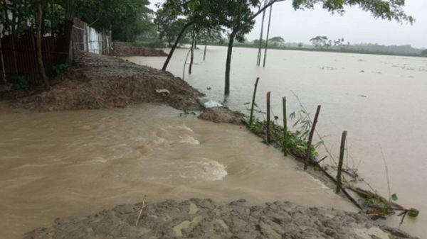ফের ডুবছে জকিগঞ্জ-কানাইঘাট - Natun Sylhet