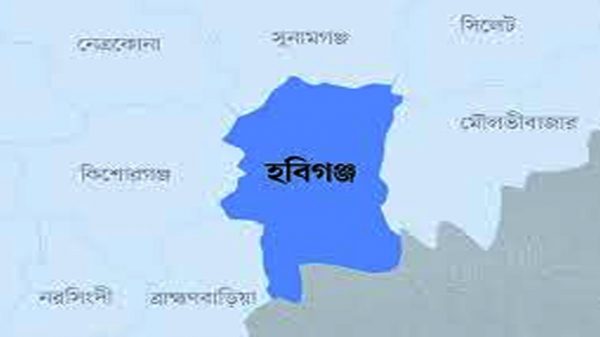 হবিগঞ্জে কুকুরের কামড়ে আহত ১৭ - Natun Sylhet
