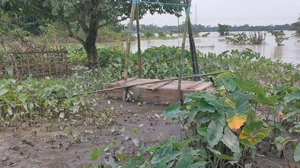 লাশ নিয়ে ৫ দিন অপেক্ষা, পানি কমায় অবশেষে দাফন - Natun Sylhet