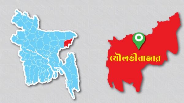 মৌলভীবাজারে বন্যার পানিতে ডুবে ও সাপের দংশনে দুজনের মৃত্যু - Natun Sylhet