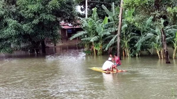 সিলেট-সুনামগঞ্জে বন্যাদুর্গতের পাশে ক্রিকেটার মুশফিকুর রহিম - Natun Sylhet