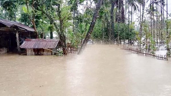 সিলেটে বন্যায় ২২ হাজার ঘরবাড়ি ক্ষতিগ্রস্ত - Natun Sylhet