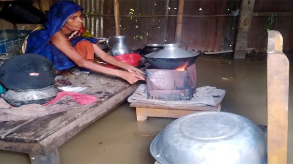 মৌলভীবাজারে হাওরে বাড়ছে পানি, চরম দুর্ভোগে মানুষ - Natun Sylhet