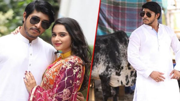 পায়েলের সঙ্গে প্রেম, গরু কোরবানি নিয়ে বিপাকে তৌসিফ - Natun Sylhet