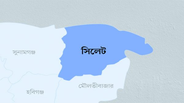 ধান খাওয়ায় গরুর পায়ে কোপ, পরে মৃত্যু, থানায় মামলা - Natun Sylhet