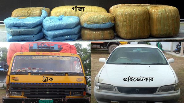 শায়েস্তাগঞ্জে গাঁজা জব্দ, আটক-২ - Natun Sylhet