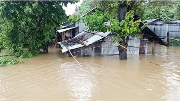 সিলেটে বন্যায় মৎস্যখাতে ১৪২ কোটি টাকার ক্ষয়ক্ষতি - Natun Sylhet