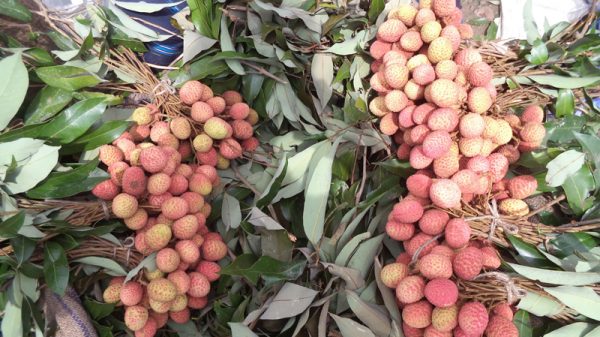 সিলেটে অপরিপক্ক মৌসুমী ফলের বাজার - Natun Sylhet