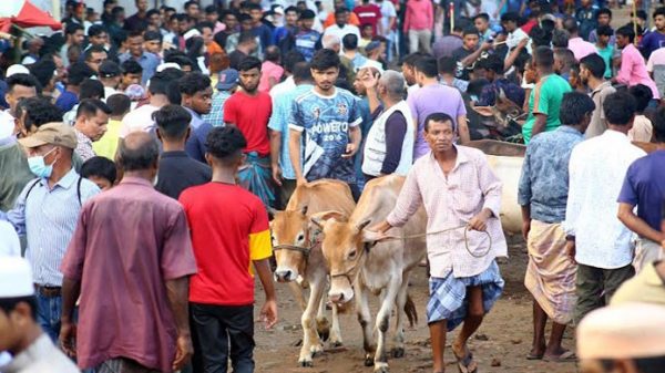দেরিতে হলেও ক্রেতামুখর সিলেটের পশুরহাট - Natun Sylhet