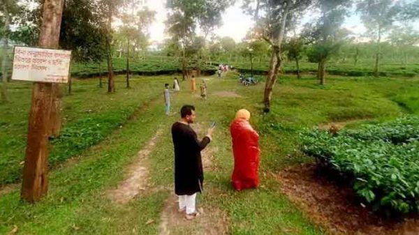 পর্যটন কেন্দ্রগুলোতে পর্যটকের দেখা নেই মৌলভীবাজারে - Natun Sylhet