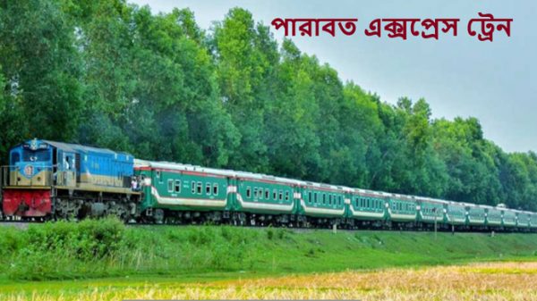 পারাবতের ইঞ্জিন বিকল: সিলেট রুটে ২ঘন্টা বন্ধ ছিল ট্রেনচলাচল - Natun Sylhet