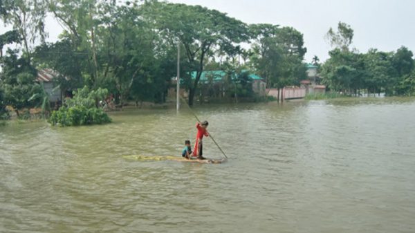 বিশ্বনাথে বন্যায় মৎস্যখাতে ৪ কোটি টাকার ক্ষতি - Natun Sylhet