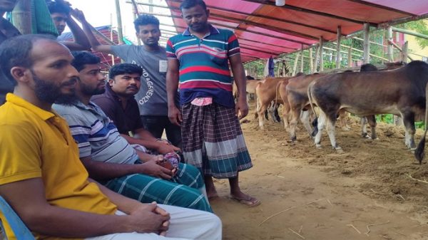 সিলেটে লাভের আশায় এসে লোকসানের শঙ্কায় রংপুরের ব্যাপারীরা - Natun Sylhet