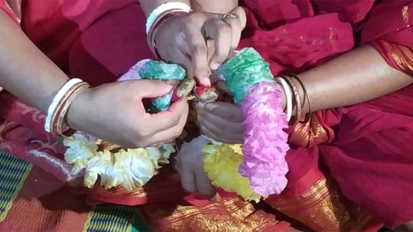 বৃষ্টির আশায় ব্যাঙের বিয়ে! - Natun Sylhet