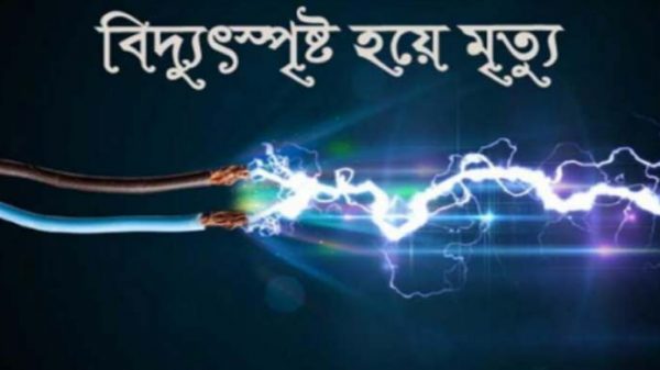 জুড়ীতে বিদ্যুৎস্পৃষ্টে নারীর মৃত্যু - Natun Sylhet