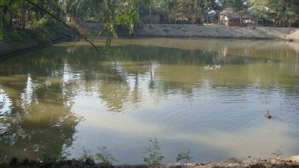 মৌলভীবাজারে পুকুরে ডুবে শিশুর মৃত্যু - Natun Sylhet