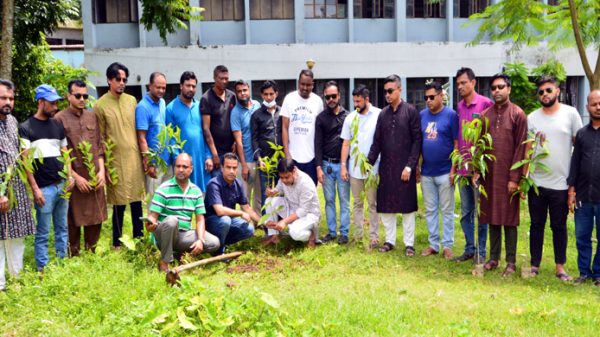 শোকাবহ আগস্টে মাসব্যাপী কর্মসূচীর অংশ হিসেবে সিলেট মহানগর যুবলীগের বৃক্ষ রোপন - Natun Sylhet