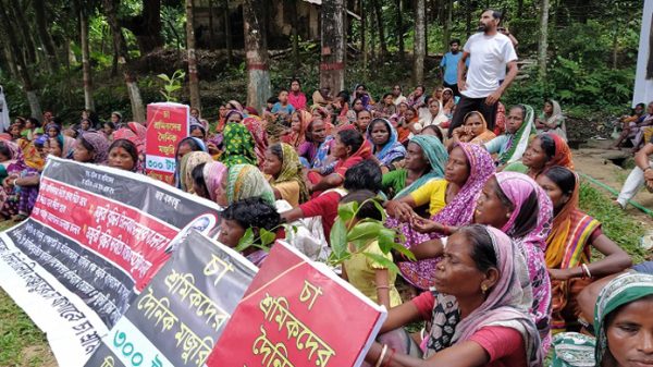 প্রধানমন্ত্রীর ভিডিও বার্তা চান চা-শ্রমিকরা - Natun Sylhet