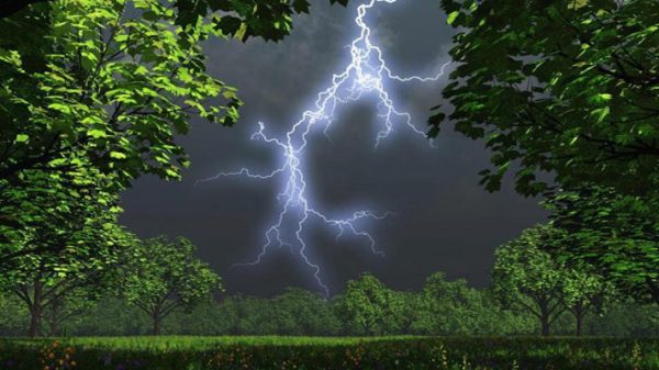 সুনামগঞ্জে বজ্রপাতে কৃষকের মৃত্যু - Natun Sylhet
