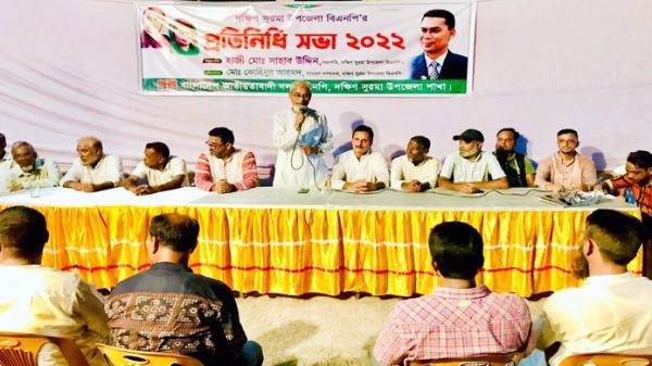 দক্ষিণ সুরমা উপজেলা বিএনপির প্রতিনিধি সভা অনুষ্ঠিত - Natun Sylhet