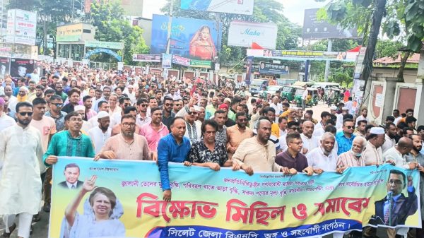 ‘সংকট নিরসনে আ’লীগের পদত্যাগের বিকল্প নেই’ - Natun Sylhet