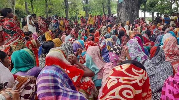 আজ থেকে সারা দেশের চা-বাগানে অনির্দিষ্টকালের ধর্মঘট - Natun Sylhet