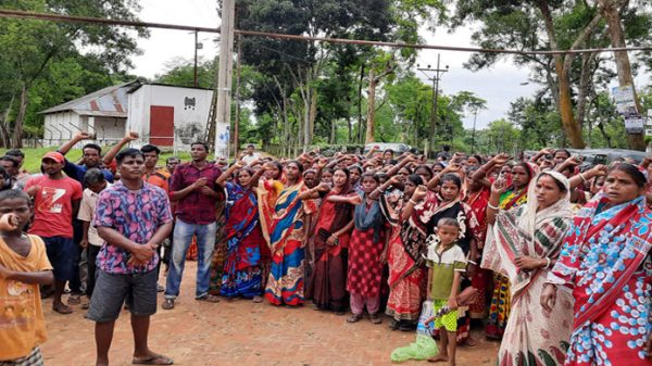 হবিগঞ্জে চা শ্রমিকদের ধর্মঘট অব্যাহত - Natun Sylhet