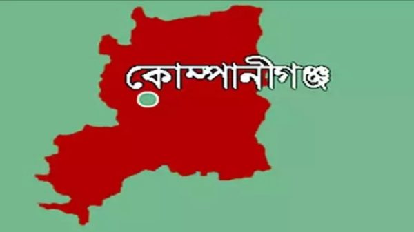 কোম্পানীগঞ্জে পুকুরে ডুবে খালা-ভাগ্নের মৃত্যু - Natun Sylhet