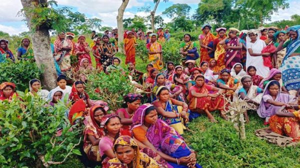 আন্দোলন প্রত্যাহার, ১২০ টাকা মজুরিতেই কাজে ফিরছেন চা শ্রমিকরা - Natun Sylhet
