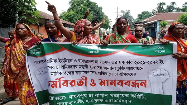 কমলগঞ্জে ২১টি চা বাগানে শ্রমিকদের কর্মবিরতি - Natun Sylhet