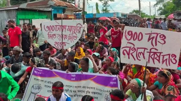 জেলা প্রশাসকের আহবানে সাড়া দেয়নি মৌলভীবাজারের চা শ্রমিকরা - Natun Sylhet