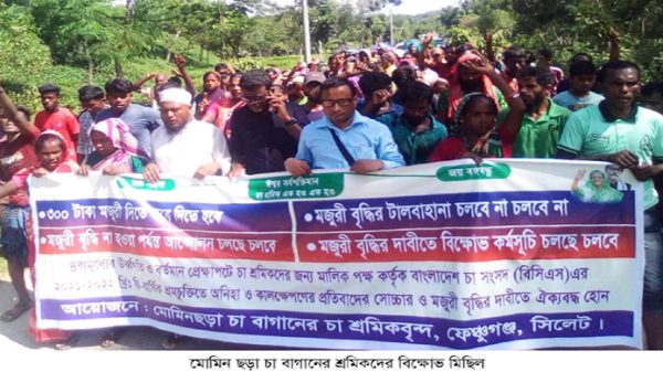 'চা শ্রমিকদের দৈনিক নগদ মজুরি ৩শত টাকা ঘোষণা করতে হবে' - Natun Sylhet