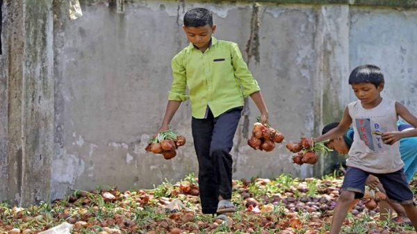 তুরস্ক থেকে আমদানির টিসিবির ২০০ টন পেঁয়াজ নষ্ট - Natun Sylhet