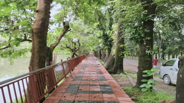 শাবিপ্রবির কিলোরোডের ওয়াকওয়ে যেন ‘ছায়ায় ঘেরা লাল সবুজের প্রতিচ্ছবি’ - Natun Sylhet