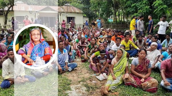 শনিবার চা শ্রমিকদের সাথে ভিডিও কনফারেন্সে কথা বলবেন প্রধানমন্ত্রী - Natun Sylhet